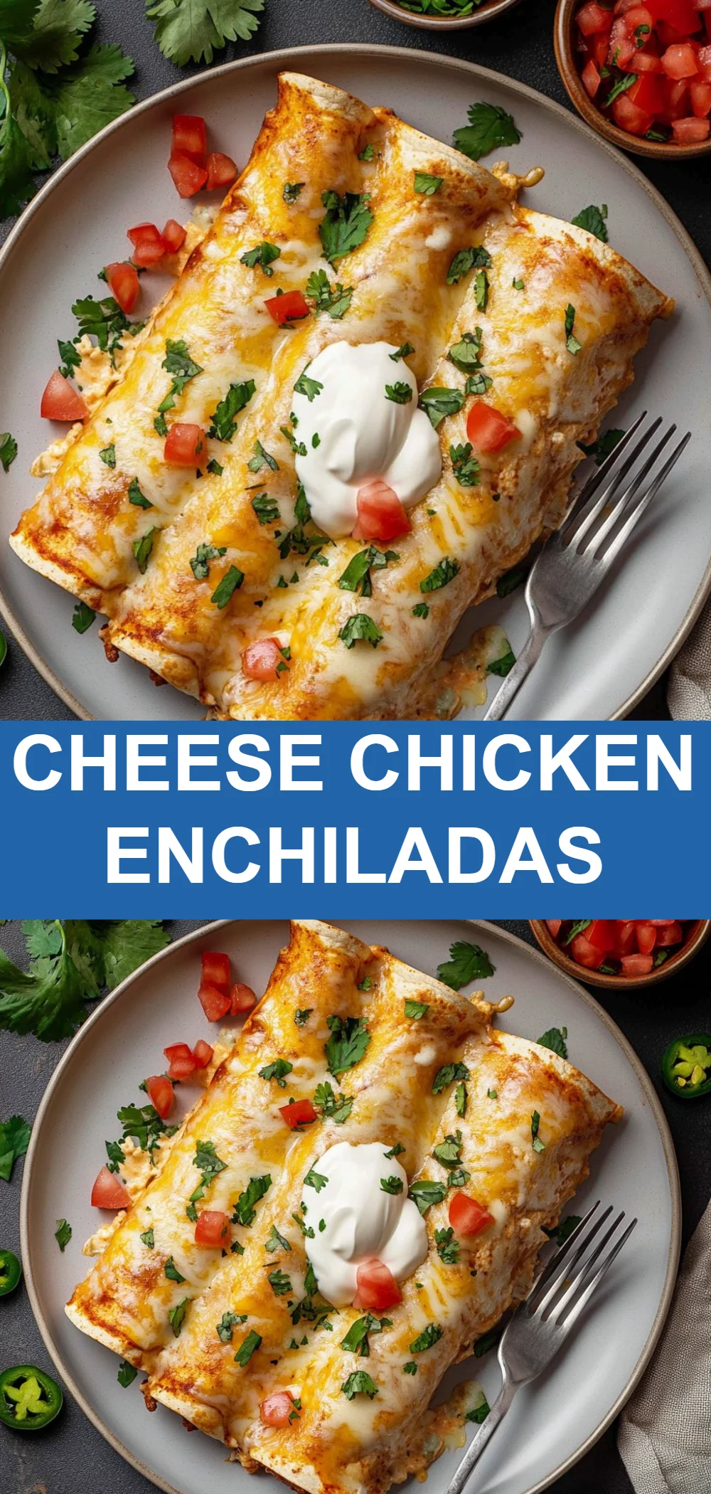 Cheese Chicken Enchiladas