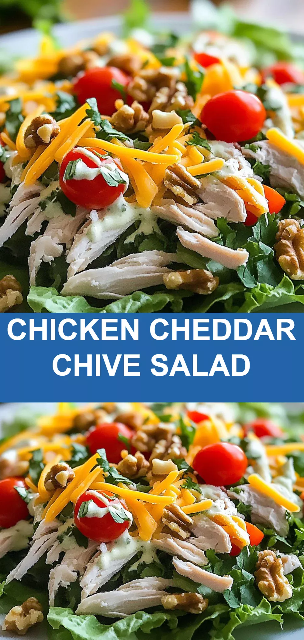 Chicken Cheddar Chive Salad