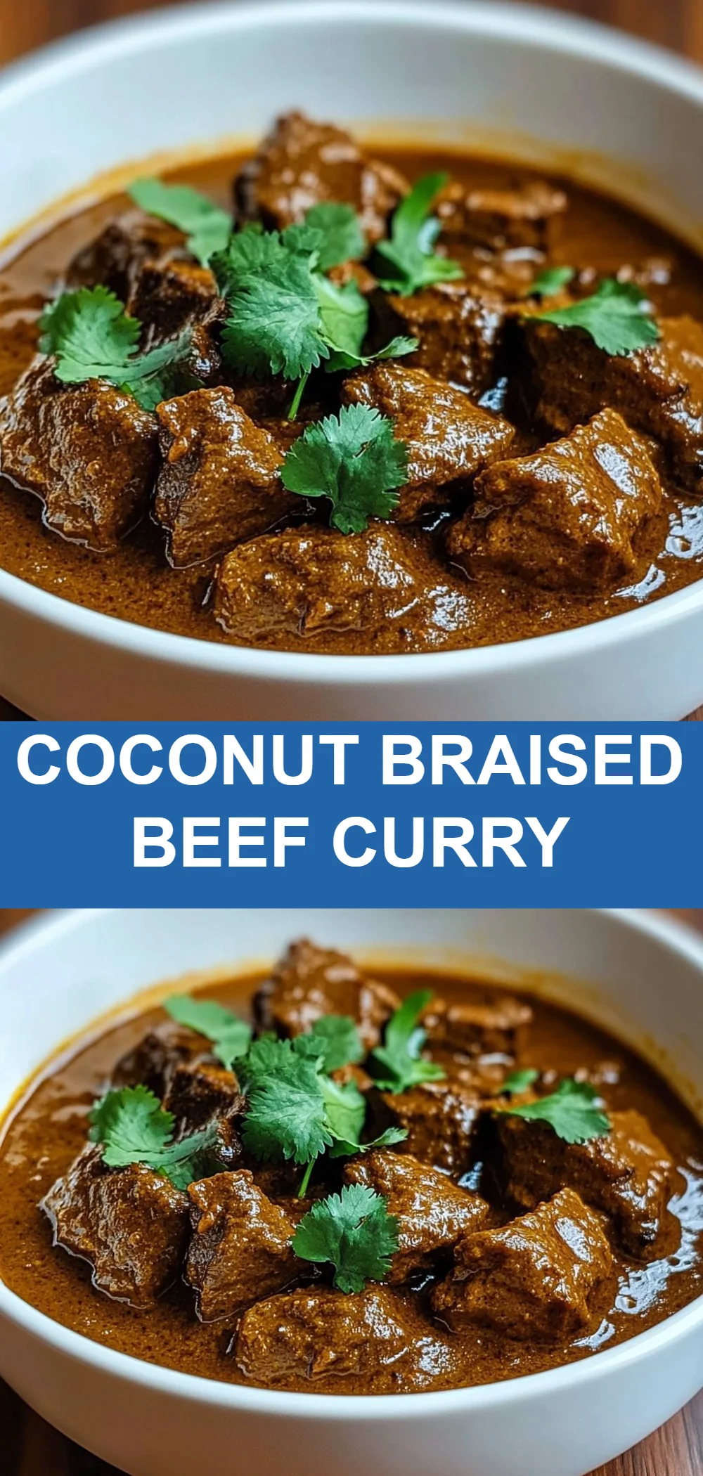 Coconut Braised Beef Curry