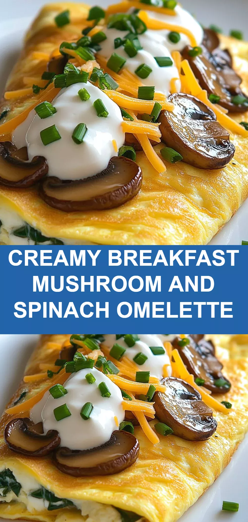 Creamy Breakfast Mushroom and Spinach Omelette