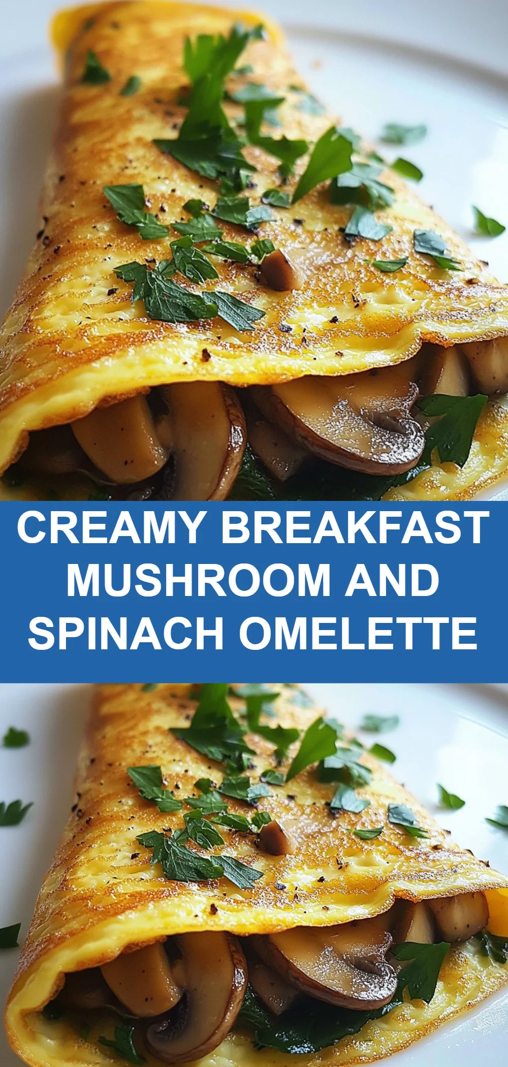 Creamy Breakfast Mushroom and Spinach Omelette