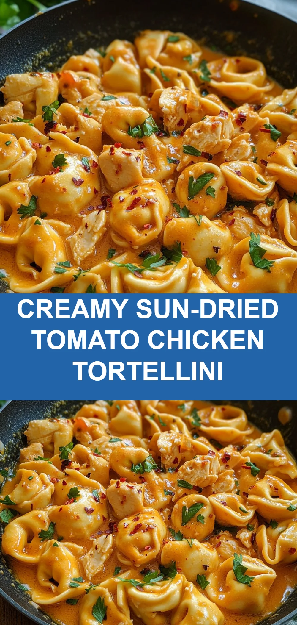 Creamy Sun-Dried Tomato Chicken Tortellini