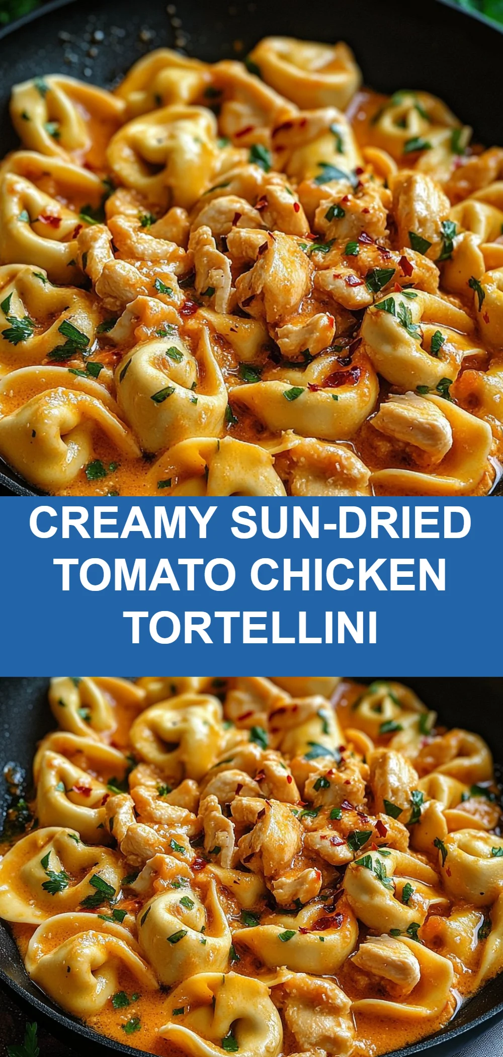 Creamy Sun-Dried Tomato Chicken Tortellini