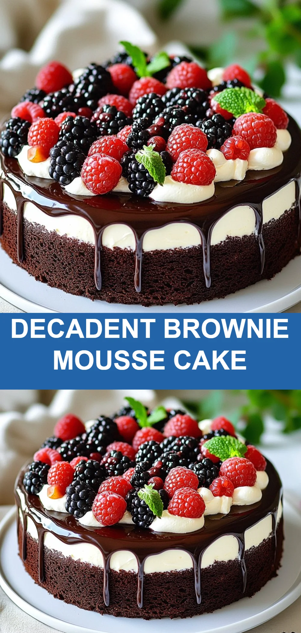 Decadent Brownie Mousse Cake