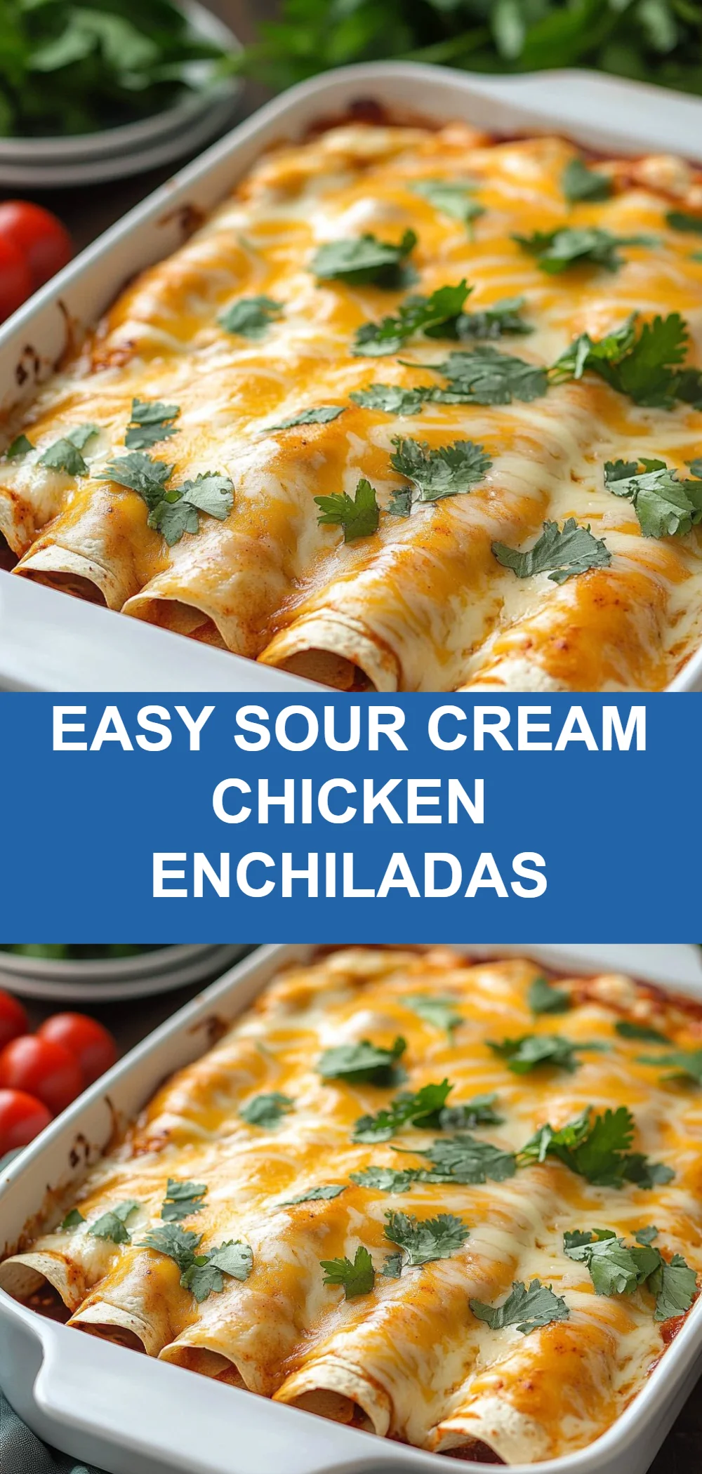Easy Sour Cream Chicken Enchiladas