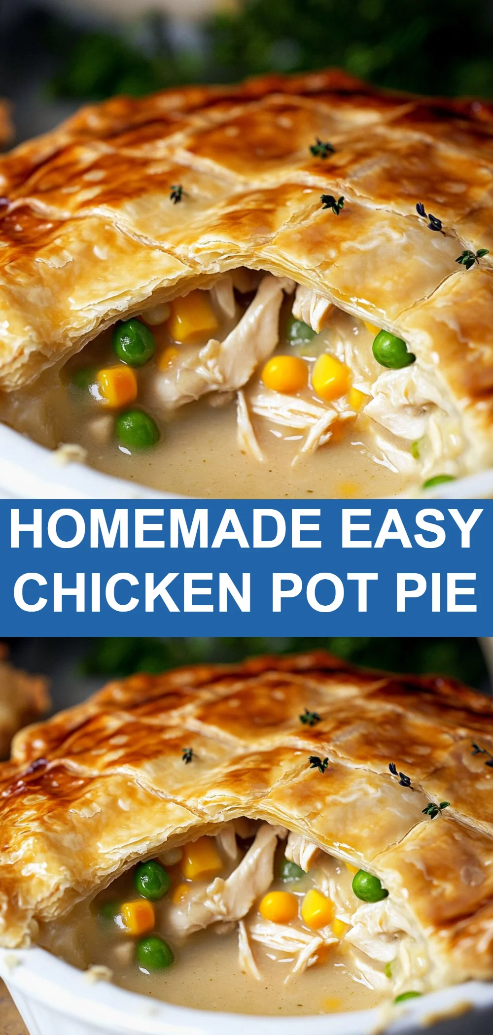 Homemade Easy Chicken Pot Pie