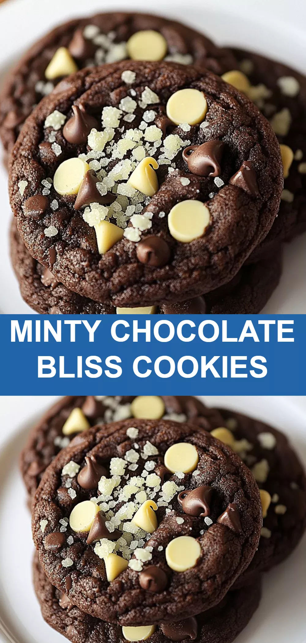 Minty Chocolate Bliss Cookies