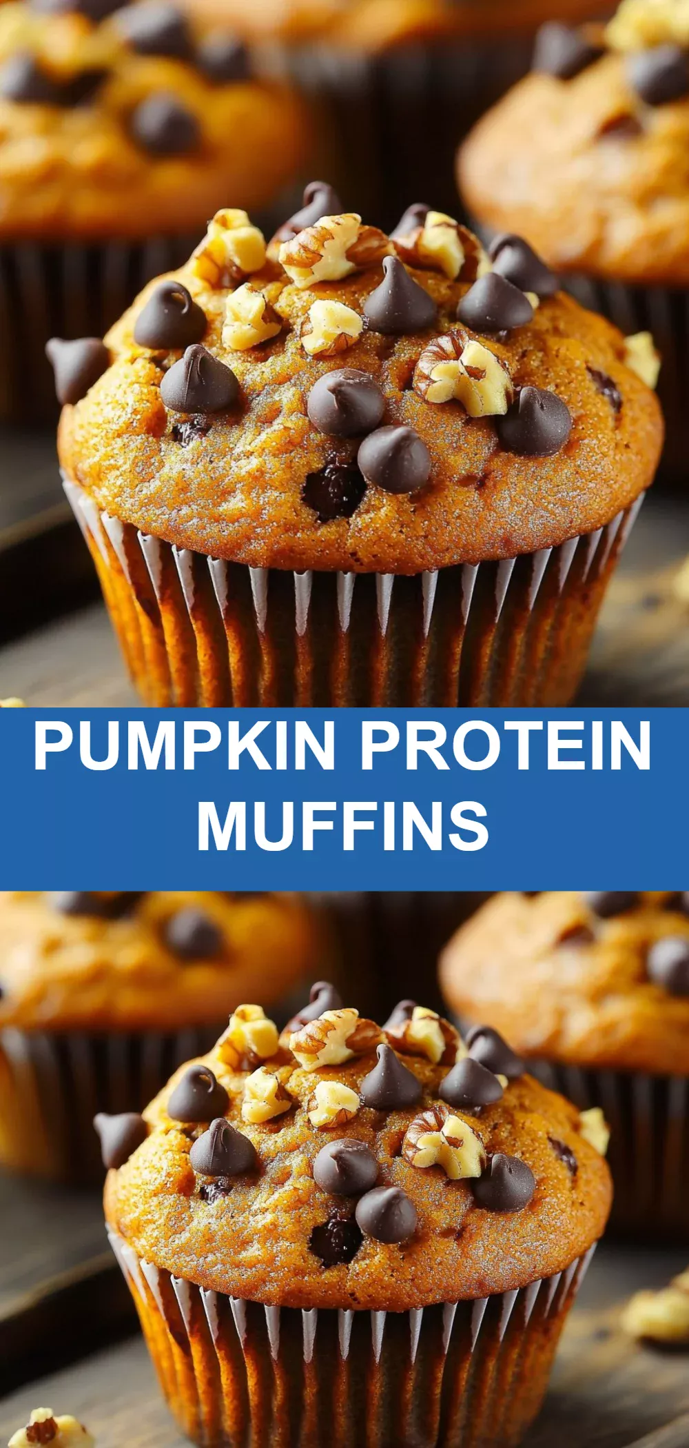 Pumpkin Protein Muffins