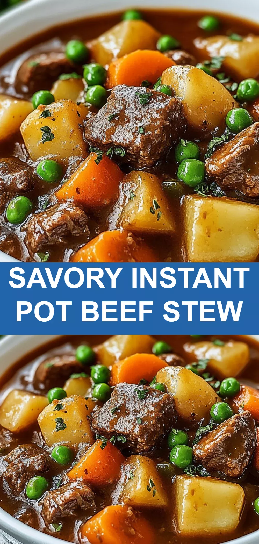 Savory Instant Pot Beef Stew
