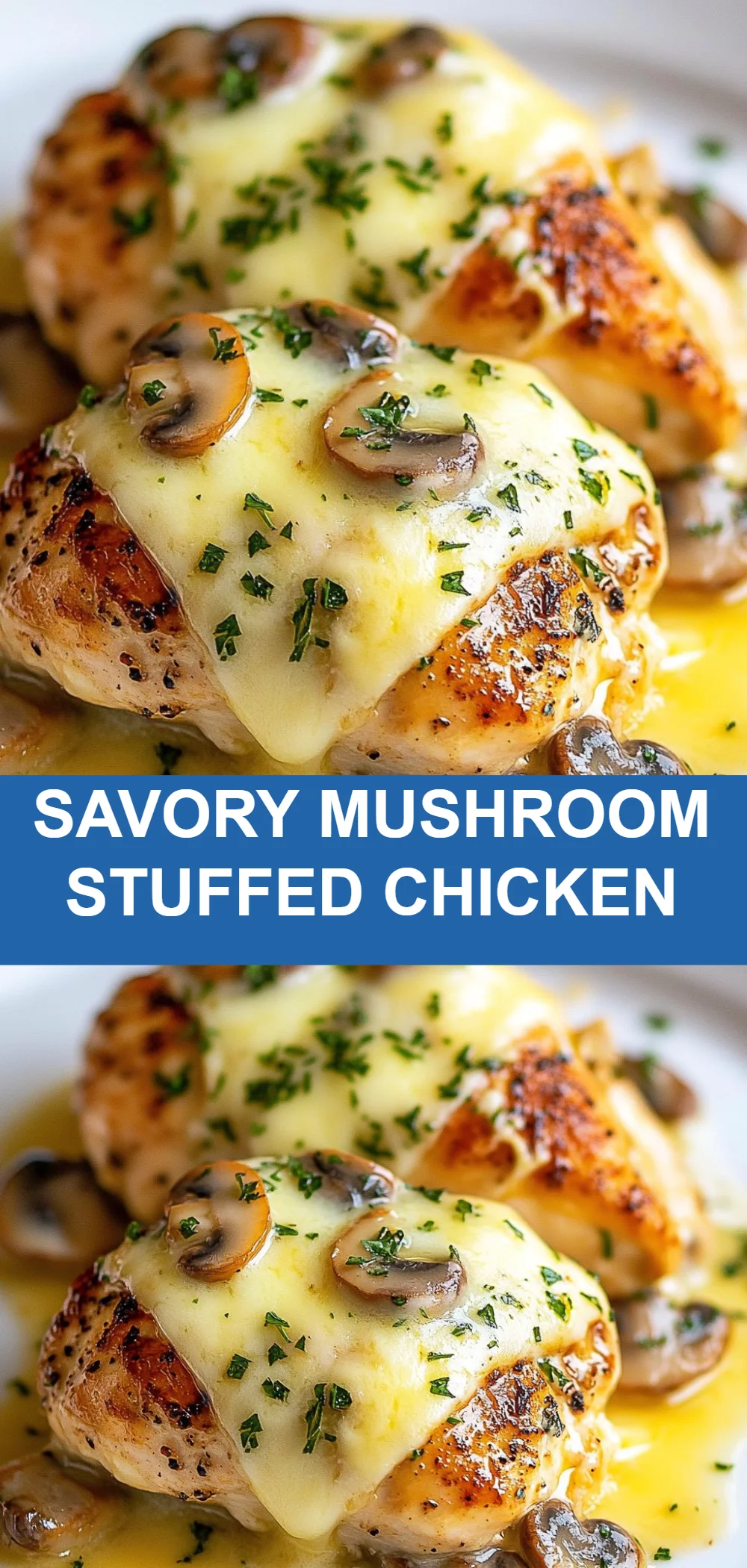 Savory Mushroom Stuffed Chicken