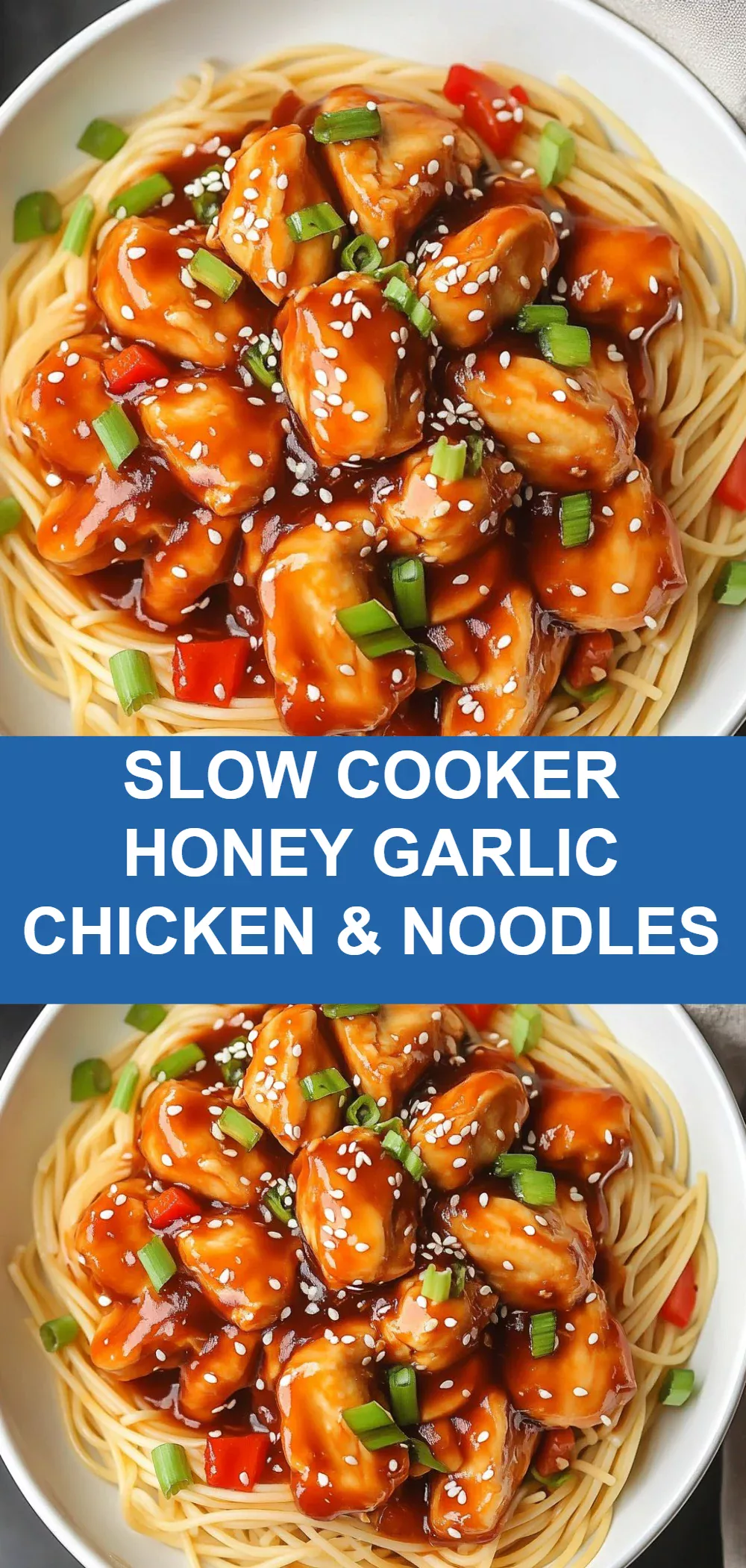 Slow Cooker Honey Garlic Chicken & Noodles