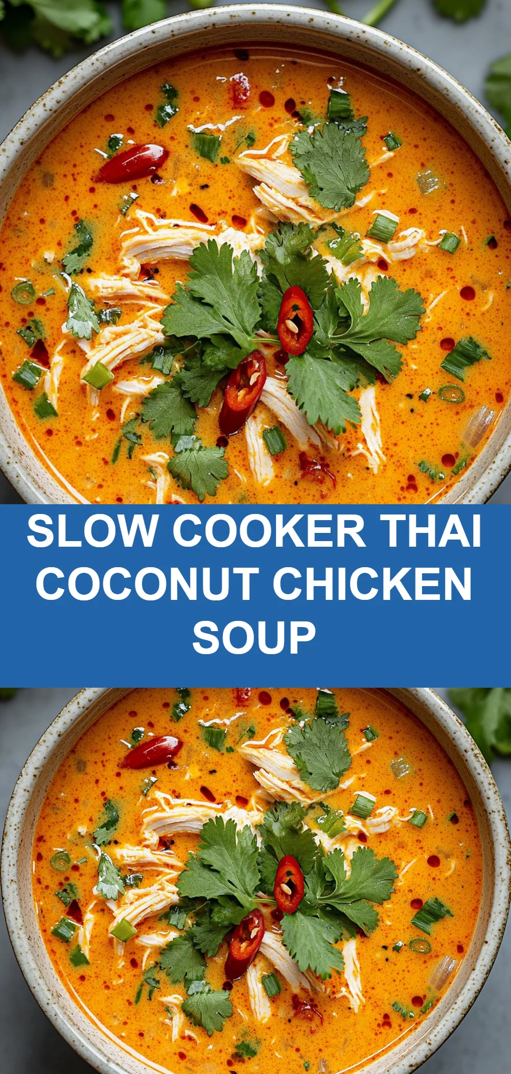 Slow Cooker Thai Coconut Chicken Soup